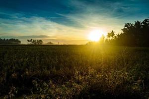 panorama du coucher de soleil sur les terres agricoles photo