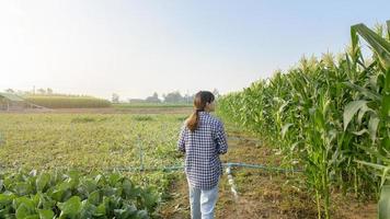 jeune agricultrice intelligente avec tablette sur le terrain, innovations de haute technologie et agriculture intelligente photo