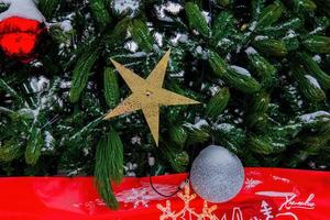 l'arbre de noël s'exhibe dans le parc photo