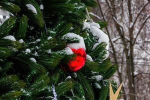 belles décorations sur le sapin de noël. photo