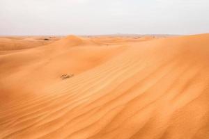 dunes du désert à dubaï photo