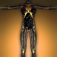 science anatomie du corps humain en rayons x avec des os de squelette lumineux photo