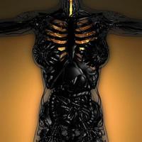 anatomie scientifique du corps de la femme avec des poumons lumineux photo