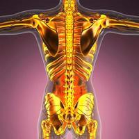 science anatomie du corps humain en rayons x avec des os de squelette lumineux photo