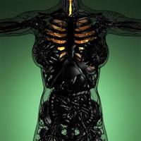 anatomie scientifique du corps de la femme avec des poumons lumineux photo