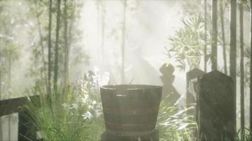 forêt de bambous du japon et herbe de prairie verte avec lumière naturelle photo