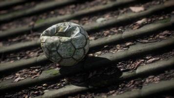 vieux ballon de football sur le toit d'une maison photo