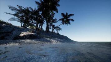 île tropicale des maldives dans l'océan photo