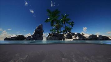 eau boueuse brune et palmiers sur l'île photo