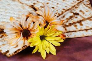 concept de célébration de pesah fête de la pâque juive photo