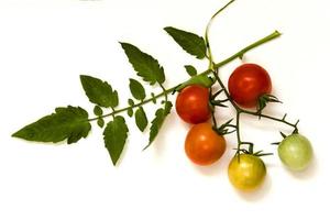 Tomates cerises fraîches mûres sur isolé sur fond blanc photo