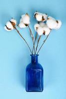 délicates fleurs de coton blanc moelleux sur fond de papier bleu pastel, vue de dessus. fibre organique naturelle, matières premières pour la fabrication de tissus. photographie de studio photo
