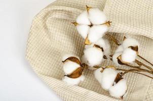 fleur de boule de coton sur tissu de coton. photographie de studio photo