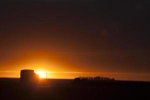 sillouette coucher de soleil prairie photo