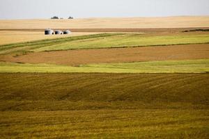 scène des prairies saskatchewan photo