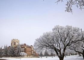 prairie de givre photo