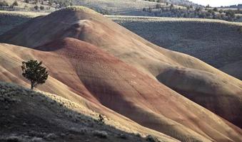 peint collines oregon photo