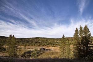 couleurs d'automne cypress hills canada photo