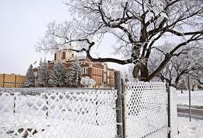 prairie de givre photo