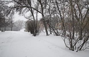 scène d'hiver des prairies photo