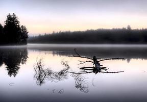 lac en automne réflexion du lever du soleil photo