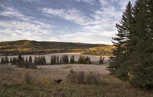 couleurs d'automne cypress hills canada photo