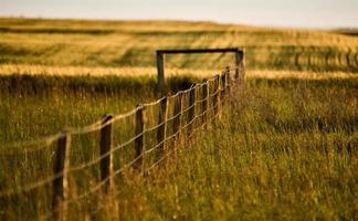 ligne de clôture des prairies photo