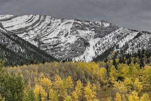 montagnes rocheuses kananaskis alberta photo