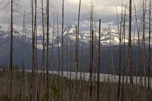 le parc national de Yellowstone photo