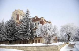 prairie de givre photo