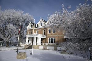 prairie de givre photo