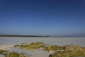 île de menjangan à karimun, java, jepara, java central, beau sable blanc photo