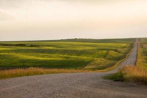 scène des prairies saskatchewan photo