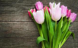 fleurs de tulipes de printemps photo