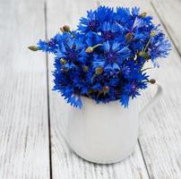 bleuets dans un vase photo