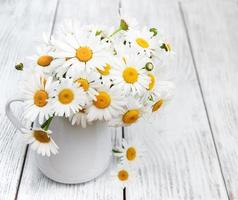 marguerites dans un vase photo