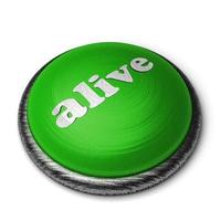 Mot vivant sur le bouton vert isolé sur blanc photo