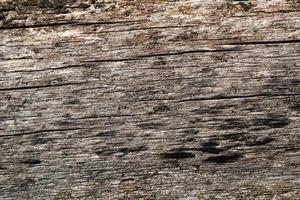 texture abstraite du bois. toile de fond grunge de surface. motif effet bois sale. fond matériel. photo