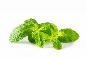 menthe poivrée verte fraîche isolée sur fond blanc. photo