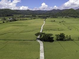 vue aérienne du champ de riz avec route en vue pronosutan, kulon progo, yogyakarta photo