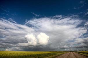 route des prairies et école photo