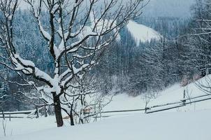 neige pente campagne hiver nuageux paysage photo