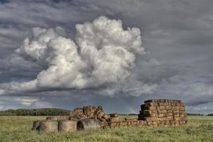 route des prairies et école photo