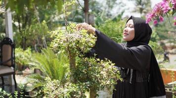 la belle en hijab coupe les feuilles dans le jardin photo