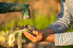 main d'agriculteur attendant l'eau de la pompe à eau extérieure vintage. pour le concept de saison de sécheresse photo