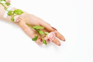 belle main féminine avec des roses roses sur fond blanc, concept de salon de beauté photo