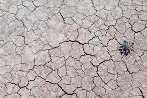 terre craquelée et saleté, sécheresse dans la nature photo