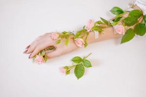 belle main féminine mince se trouve avec des fleurs roses sur fond blanc. photo