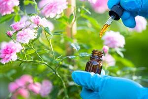 scientifique médecin tenant une bouteille d'huile d'herbe de rose pour la peau et le produit de parfum, le dosage des gouttelettes, la biologie et l'écologie médecine alternative de la nature. photo