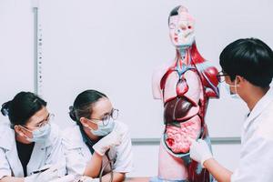 groupe de discussion de médecins sur le mannequin d'organes internes du corps humain